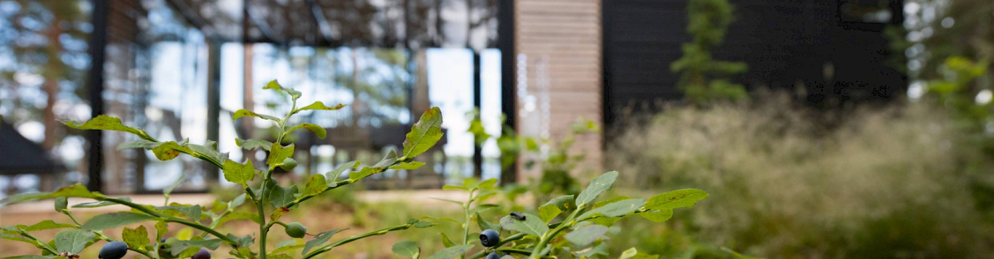 Maksuaikaa projektille